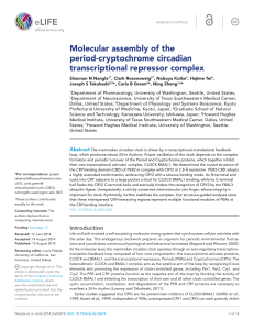 Molecular assembly of the period-cryptochrome circadian