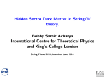 Hidden Sector Dark Matter in String/M theory.