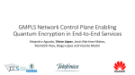 GMPLS Network Control Plane Enabling Quantum