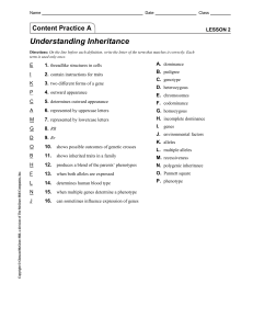 Content Practice B Understanding Inheritance