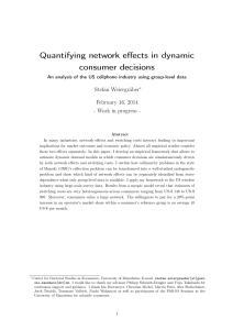 Quantifying network effects in dynamic consumer decisions