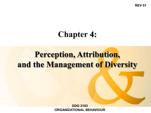 Chapter 4: Perception, Attribution, and the Management of