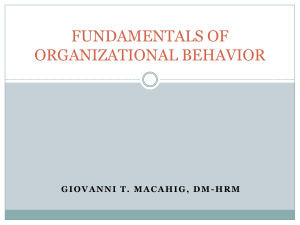 fundamentals of organizational behavior