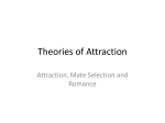 Theories of Attraction