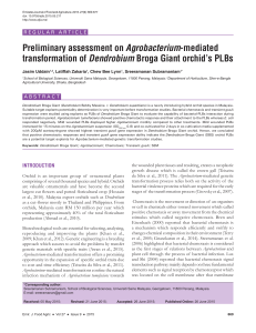 Preliminary assessment on Agrobacterium-mediated