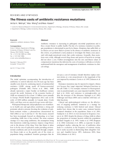 The fitness costs of antibiotic resistance mutations