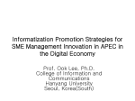 Informatization Promotion Strategies for SME Management