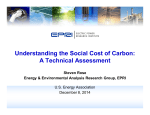 Understanding the Social Cost of Carbon