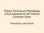 Robust Tracking and Remapping of Eye Appearance with Passive