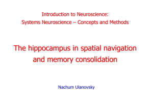 The hippocampus in spatial navigation and memory consolidation