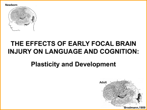 neural plasticity rethinking : cognitive development following early