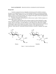 Sucrose and Splenda® - Important molecules containing the alcohol