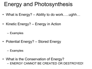 the reactions of photosynthesis that are directly dependent upon
