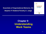 Understanding Work Teams Chapter 9 Essentials of Organizational