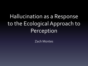 Hallucination as a Response to the Ecological Approach to Perception