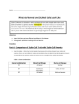 Sickle cell lab