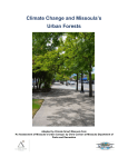 Check out this report on Missoula`s urban forests and climate change!