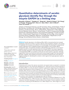 Quantitative determinants of aerobic glycolysis identify flux through