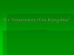 8-1 “Components of an Ecosystem”