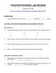 photosynthesis lab review