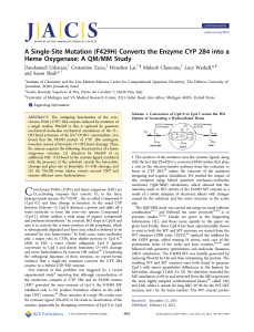 (F429H) Converts the Enzyme CYP 2B4 into a Heme Oxygenase