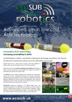 Advanced, small, low cost AUV technology