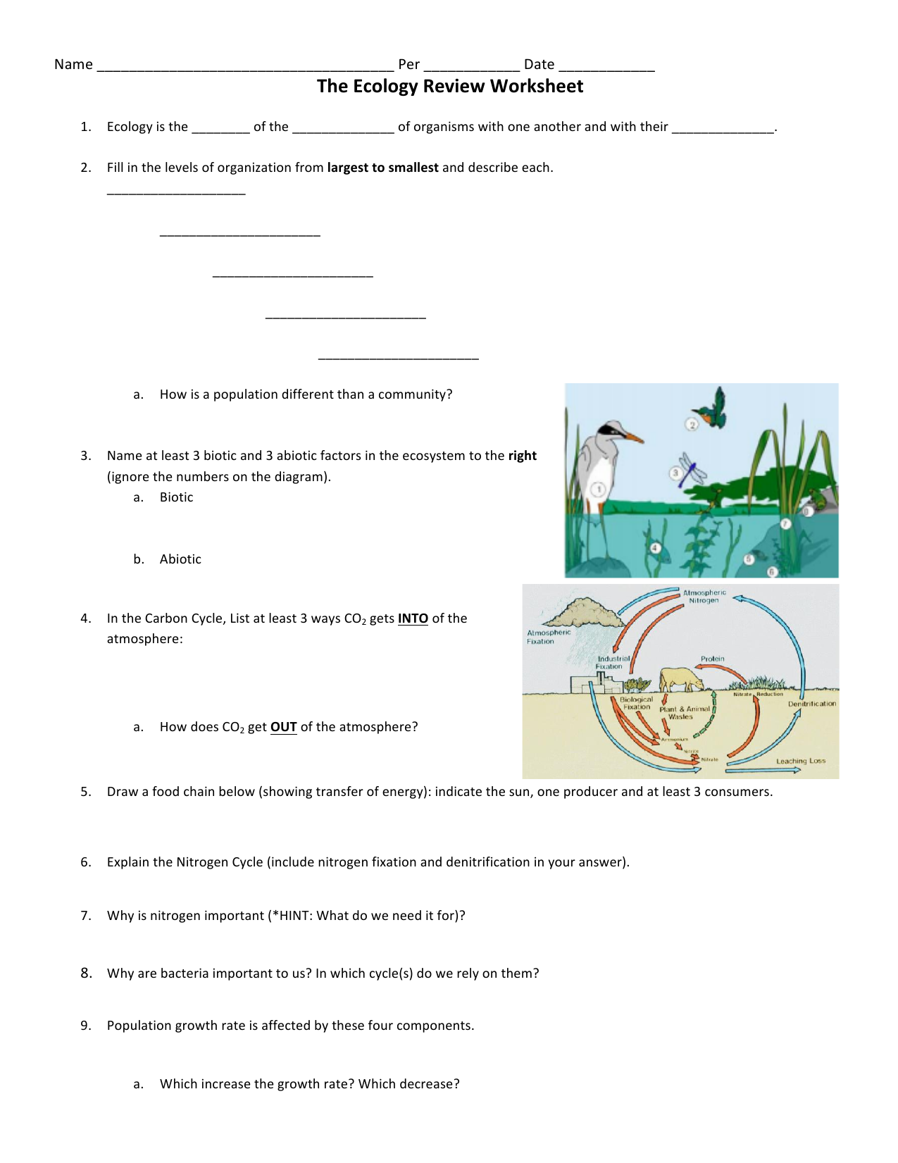 The Ecology Review Worksheet With Regard To Ecology Review Worksheet 1