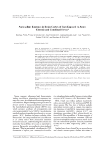 Antioxidant Enzymes in Brain Cortex of Rats