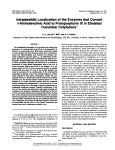 Intraplastidic Localization of the Enzymesthat Convert Cucumber