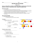 Metabolism and Enzyme Notesheet