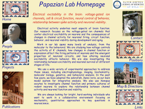Papazian Lab Homepage Electrical excitability in the brain