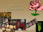 Unit 17: Sexual Propagation