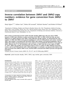 Inverse correlation between SMN1 and SMN2 copy numbers