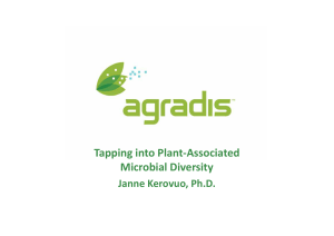 Tapping into Plant-Associated Microbial Diversity