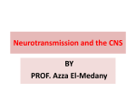 Neurotransmission in the CNS