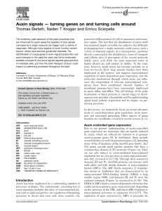 Auxin signals — turning genes on and turning cells around