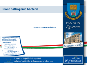 Plant pathogenic bacteria