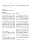 Analysis of energy metabolism in acetic acid bacteria during