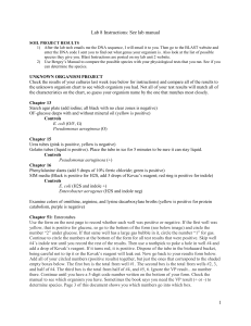 8a Lab Instructions