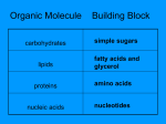Organic Molecule Building Block