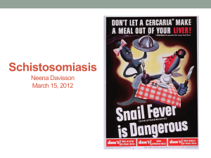 Schistosomiasis Neena Davisson March 15, 2012