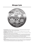 Nitrogen Cycle