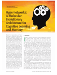 Hypernetworks: A Molecular Evolutionary Architecture for Cognitive