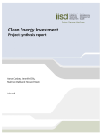 Clean Energy Investment: Project synthesis report