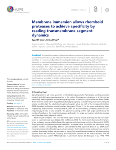 Membrane immersion allows rhomboid proteases to achieve