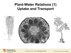 Plant-Water Relations (1) Uptake and Transport