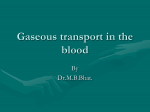 Gaseous transport in the blood