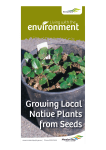 Growing Local Native Plants from Seeds brochure