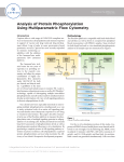 Analysis of Protein Phosphorylation Using Multiparametric Flow