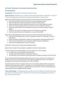 8.3 Photosynthesis assessment statements